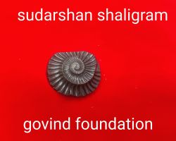 Sudarshan shaligram original sudarshan shaligram