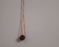 Siddh rudraksha sidh rudraksha energized rudraksh