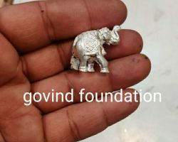 Chandi ka thoss hathi soond upar pure silver elephant trunk up solid 20gm
