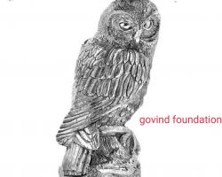 Pure silver owl 2 inches chandi ka ullu 50gm