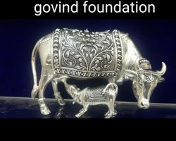 silver kamdhenu 5 inches pure silver cow calf Figurine