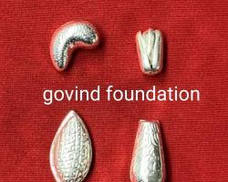 Silver Dryfruits 5 piece pure silver dry fruits