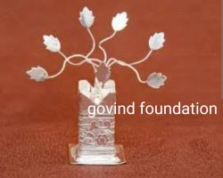 Silver Tulsi plant 4 inches Chandi ka Tulsi plant