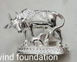 Cow calf Sculpture in pure silver 25gm Pure Silver Kamdhenu