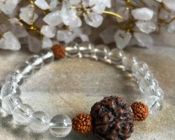 Crystal Rudraksha bracelet 5 face Rudraksha with crystal bead Bracelet