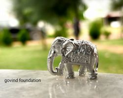 Pure Silver Elephant Trunk down Solid 150gm Right foot Forward Silver Elephant for Red book Remedy