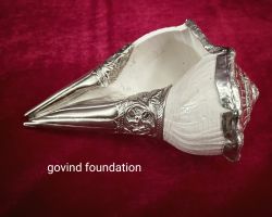 Dakshinavrti shankh with Silver caping Dakshinavrti Conch with silver Laced