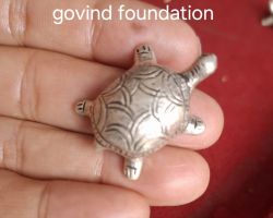 Sterling Silver Tortoise 20gm Sterling Silver Tortoise small size