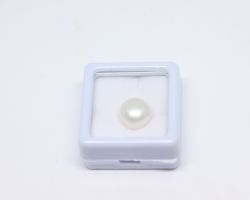 Pearl pure moti 10mm
