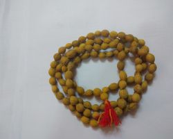 Putra jeeva mala putra jiv mala