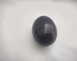 Shaligram original Natural Saligram