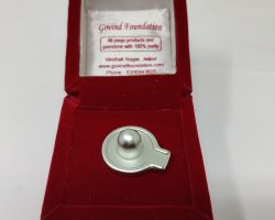 Parad shivling energized original Raslingam mercury Shivling 75gm