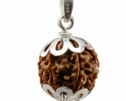 9Face  Rudraksha in silver cap 9 mukhi rudraksha with silver cap