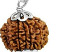 10Face Rudraksha with silver cap 10 mukhi rudraksh with Silver  cap