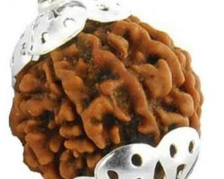 5 face Rudraksha with silver cap Rudraksh in silver cap 5 mukhi Rudraksha with silver  cap