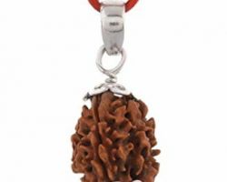 3Face Rudraksha  with silver cap 3 mukhi Rudraksha with silver cap v