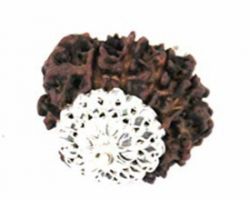 12 Face Rudraksha silver pendant 12Mukhi Rudraksha silver pendant