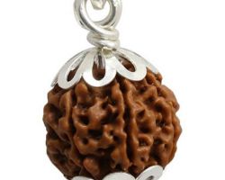 7 face  rudraksh in silver cap 7 mukhi rudraksh with silver cap  in silver cap