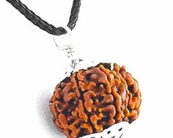 8Face Rudraksha with silver cap 8 mukhi Rudraksha in silver cap