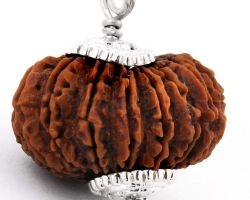 14Face Rudraksha with silver cap 14 mukhi Rudraksha in silver cap
