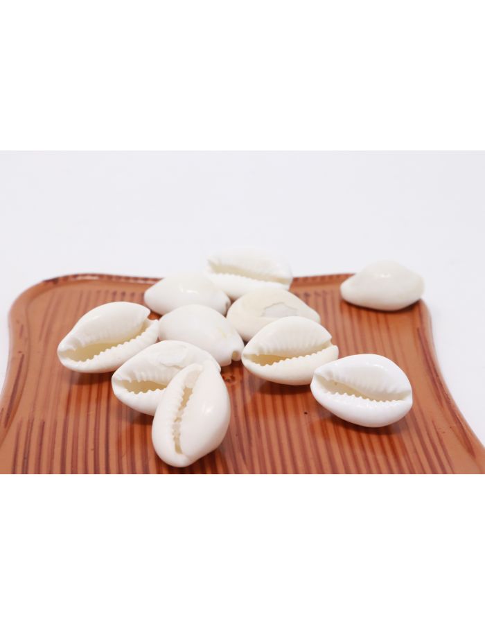 Kodi white kaudi koudi 11 piece