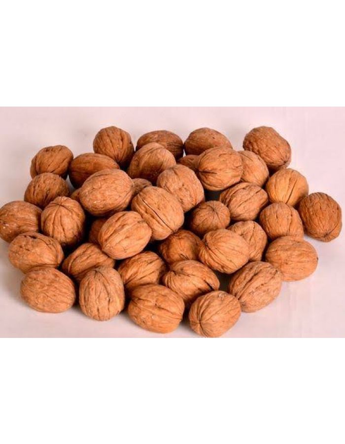 Akhrot Shell Akhrot sabut wallnut in shell excellent quality1 kg