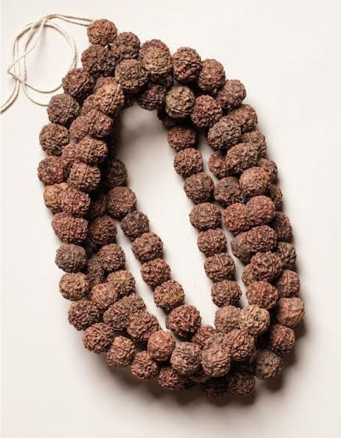 Rudraksha mala 5 mukhi big size bead rudraksha mala 54 beads
