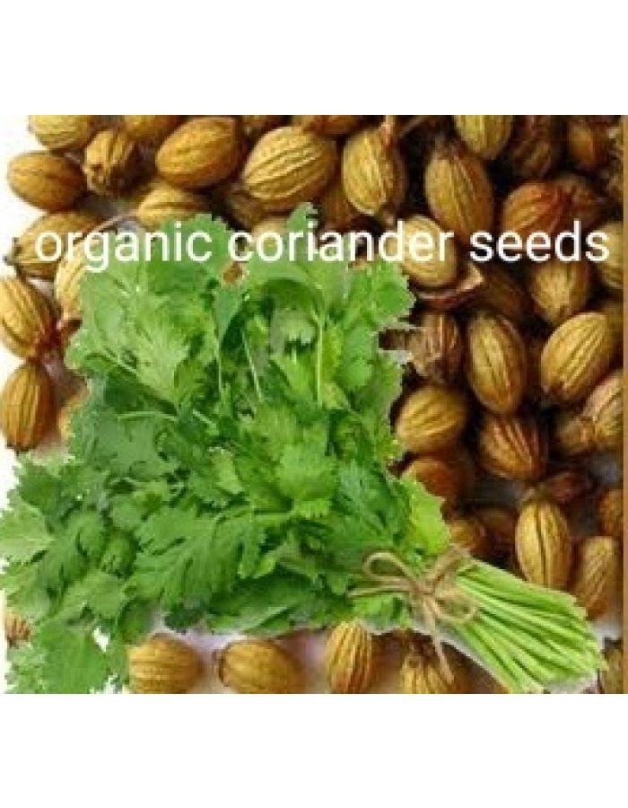 Coriander seeds organic farming seeds dhaniya beez 250gm