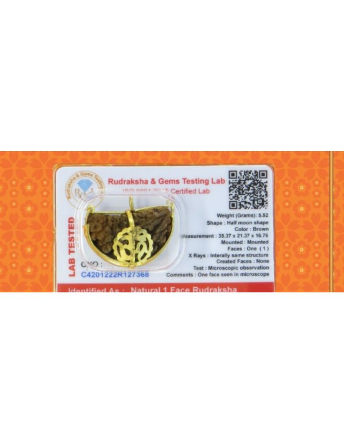 Moon Rakisha Ek mukhi Rudraksha with gold cap chandrakar with golden cap one face ...