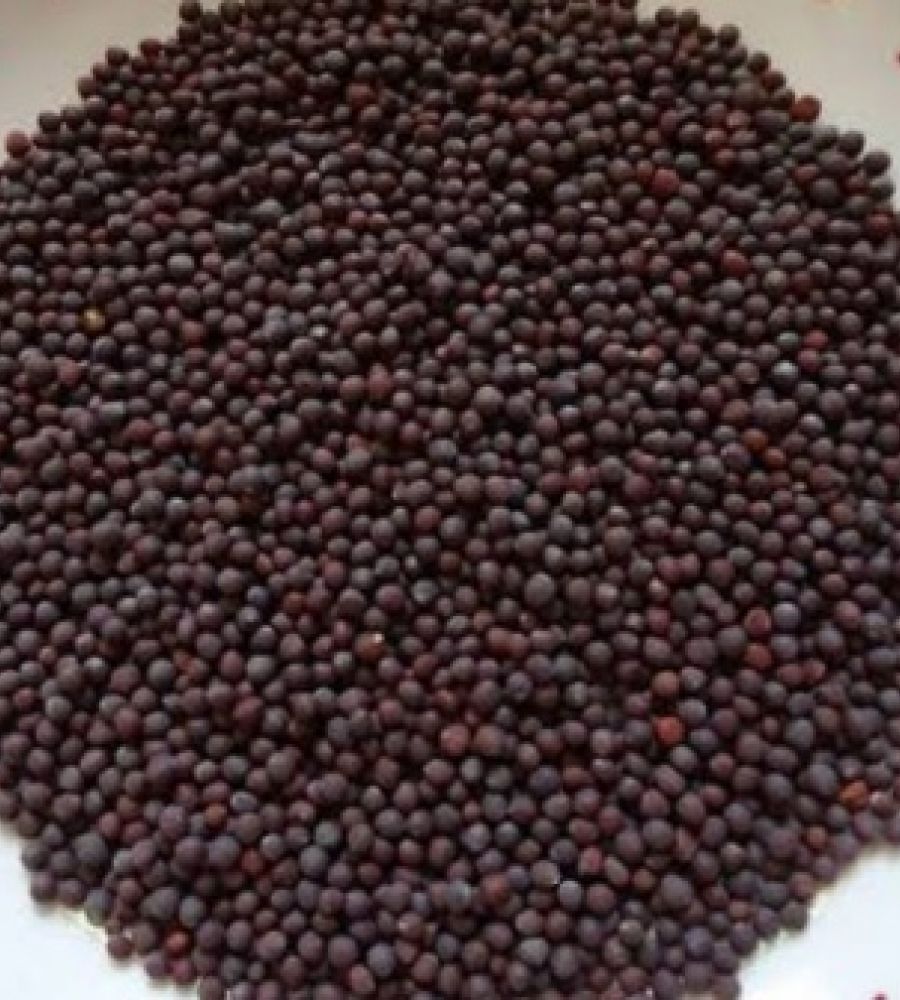 Rai black mustard seeds 500gm