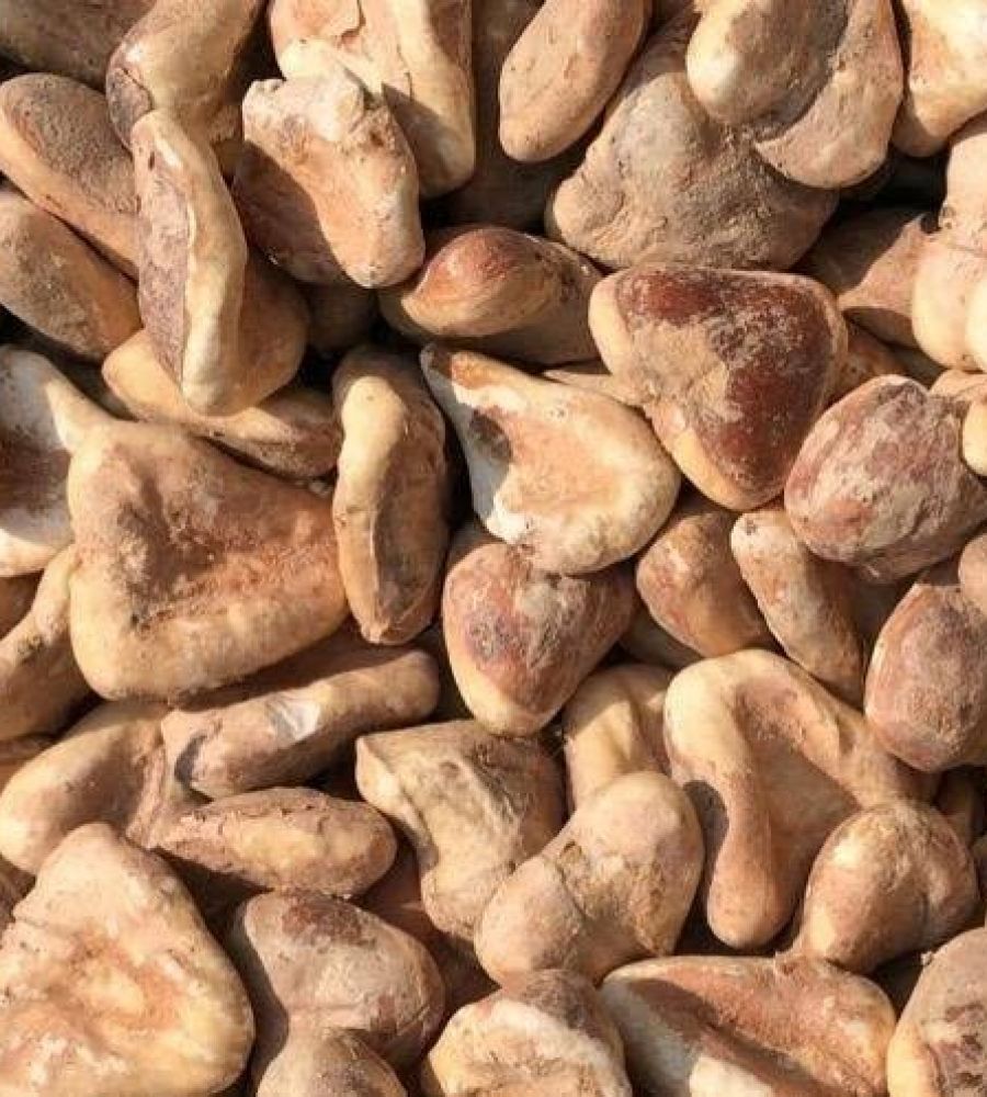 Singhara dry water chestnut organic 500 gm