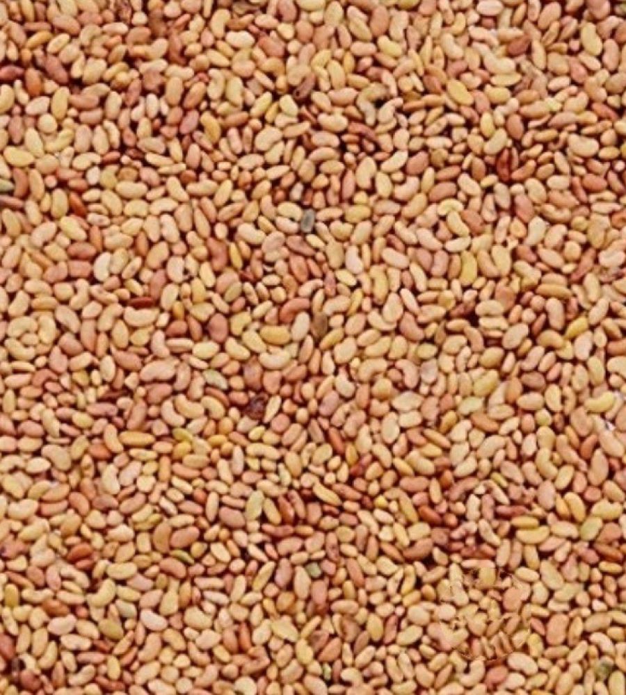 Alfalfa seeds edible 200gm